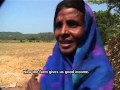 NREGA-MP--Watershed dev on Farm Interventions-MGNREGA