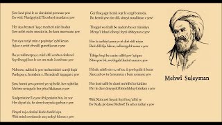 Mehwî  -  Basit Heme Xerib  -  Şew