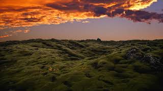 Audiophile High Quality Instrumental Music