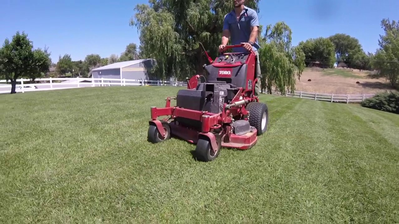 Spring is Here! Lawn care in the Tri Cities TLC YouTube