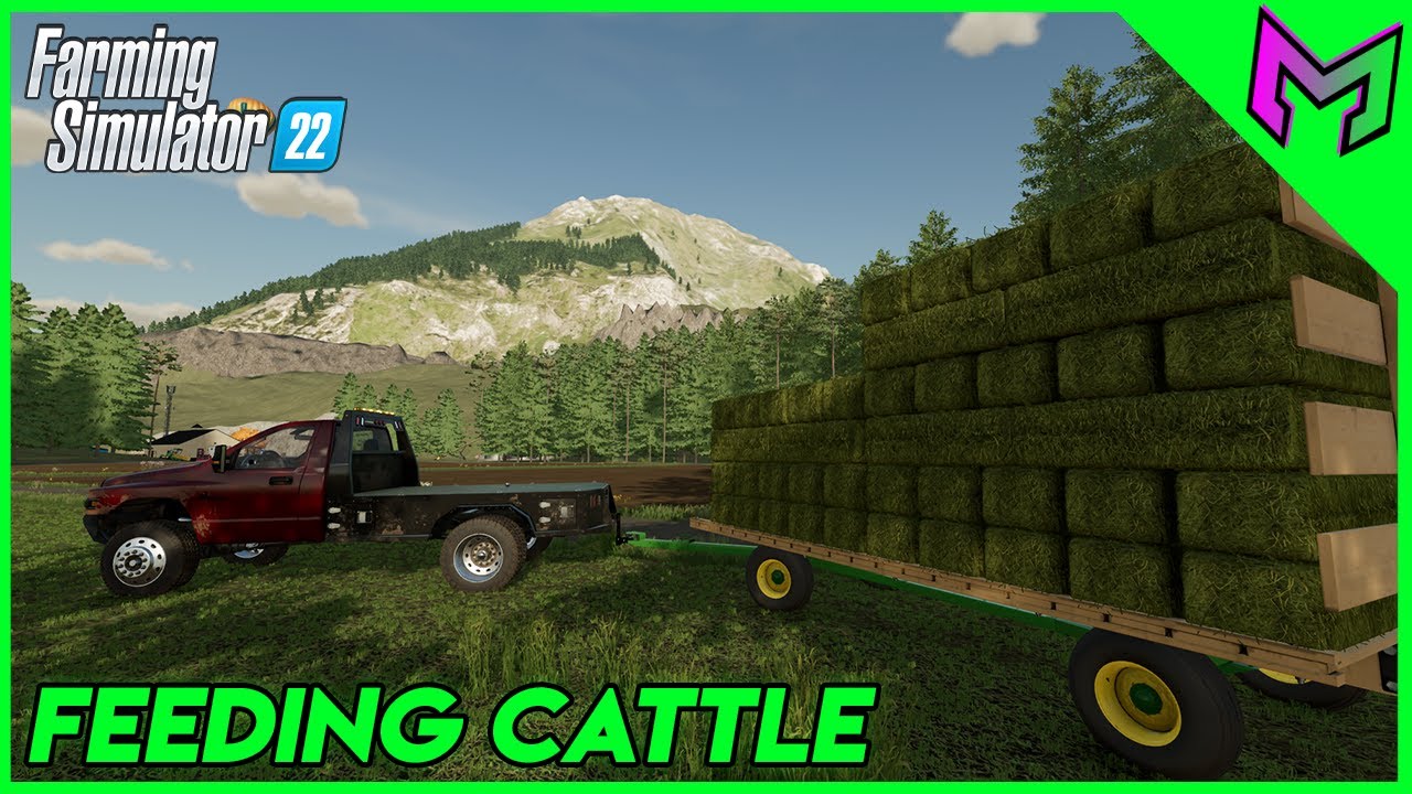 Feeding our Cattle! | Umbreon Valley #12 | Farming Simulator 22