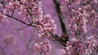 24. Lui5 - Olvidarme De Engañar G E O R G I A