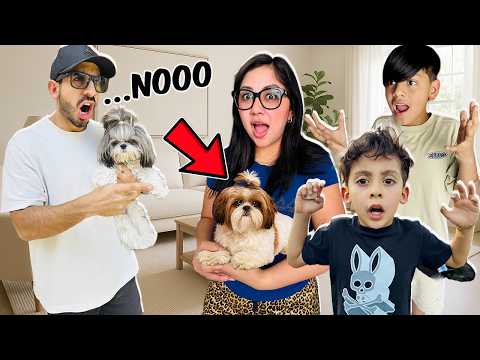 TENEMOS NUEVA MASCOTA Y PAPA SE ENOJA🐶🐾| BROMA A PAPÁ | Family Juega