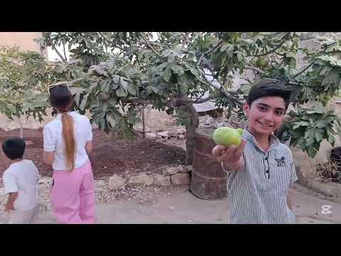 عفرين طبيعة مدينة عفرين ضيعةأرندة