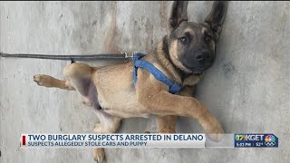 2 suspects arrested for alleged theft of dog, vehicles: Delano PD