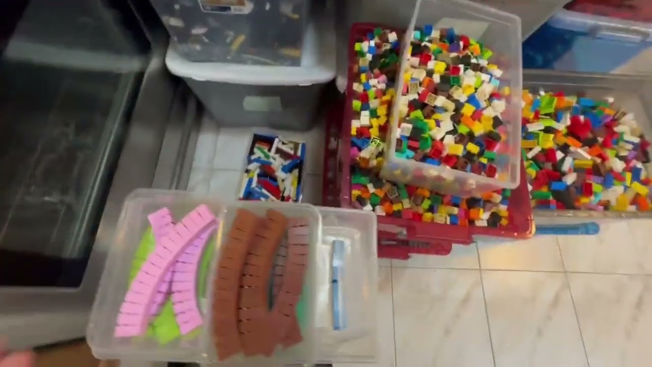 Unexpected amazing find! | Bricklink Vlog 