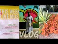 VLOG: Atlanta Botanical Garden | 1st Time Ordering From Temu | It’s Too Long | …And More