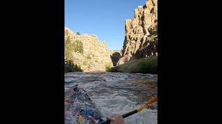 Cache la Poudre River: Upper Mishawaka Rapids 700 cfs #colorado