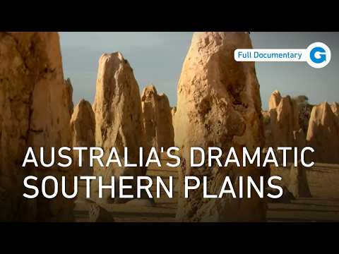 Wombats, Dingoes & Life on the Southern Plains | Full Documentary