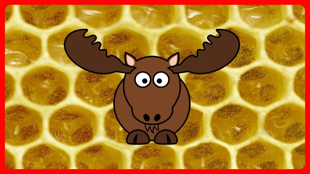 🦌 Как лоси лечат варроатоз пчел 🦌