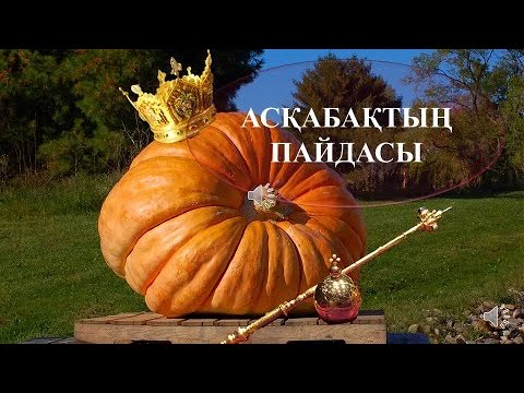 Асқабақтың пайдасы