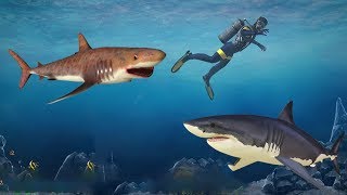 Shark Simulator 2018 (by Million games) Android Gameplay [HD] screenshot 5