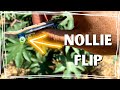 Cómo hacer Nollie Flip en Fingerboard Fácil