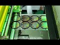 Precision Ten-Color Printing on Semi-Rotary Presses for Premium, Eye-Catching Labels