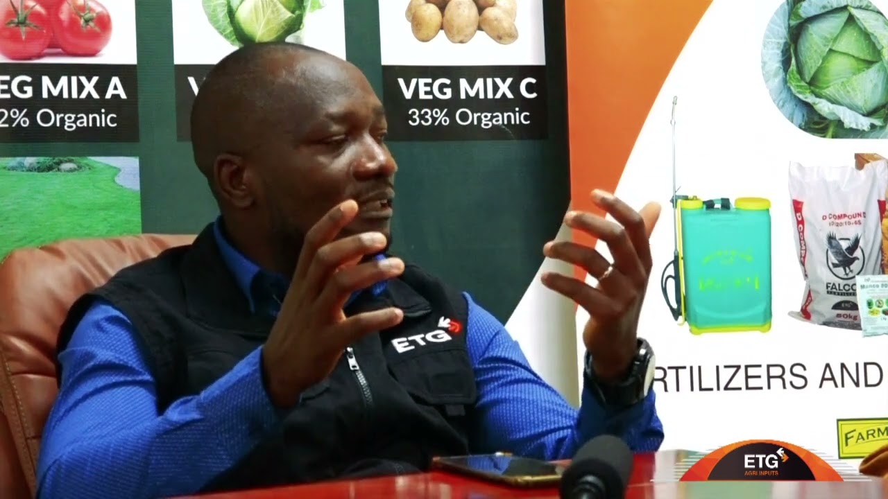 Soya Bean Growing Tips