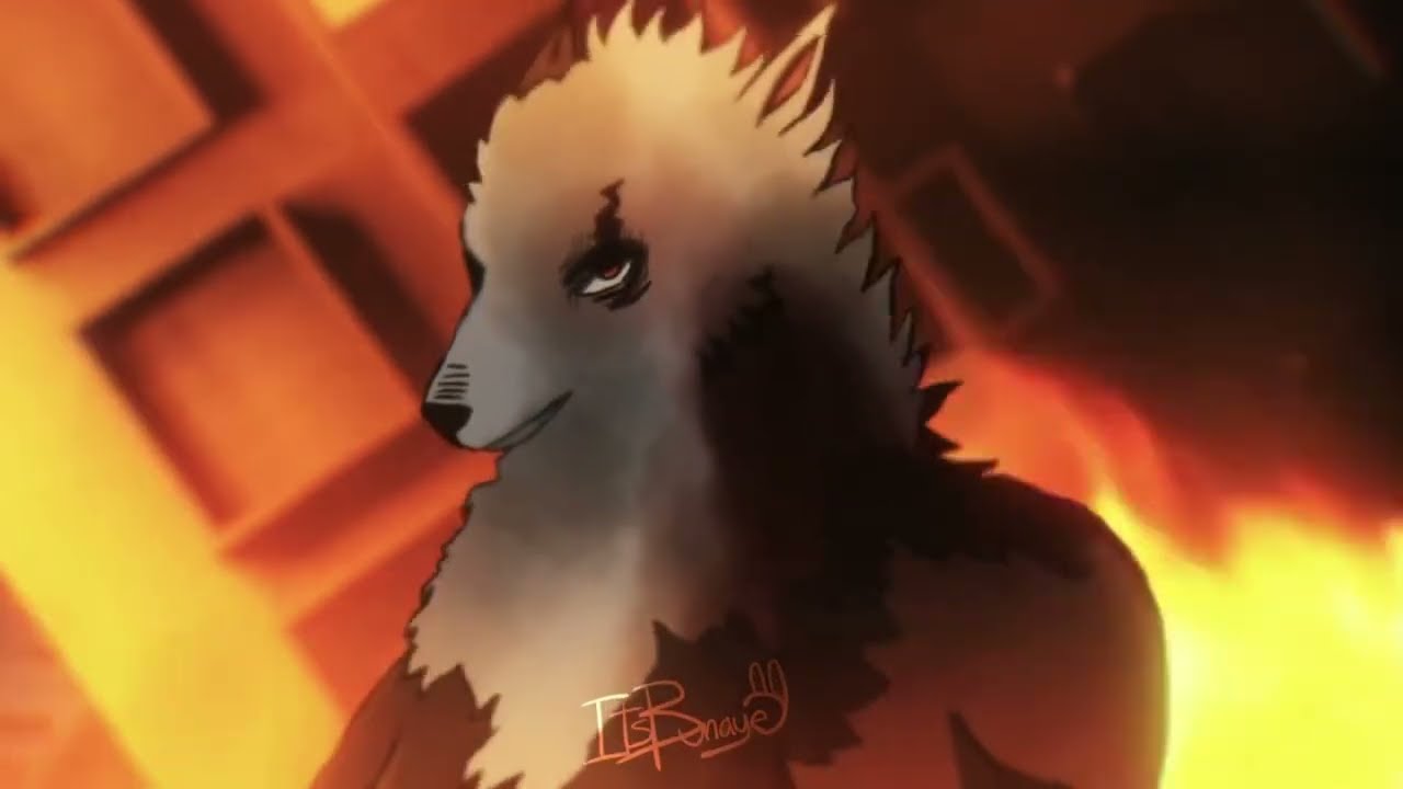 Что такое «Дог Нинген»?