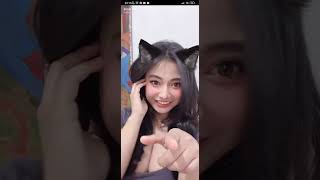 Cewek Cantik Cosplay Kucing Live Bigo Bikin Salah Fokus