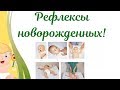 Рефлексы новорожденного ребенка.Условные и безусловные рефлексы новорожденных,их значение в развитие