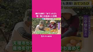 旅行しながら無料で泊まって報酬13万円！「おてつたび」がリピーター続出のワケ　お手伝い＋旅行＝人手不足解消　友達できて中高年に人気「暮らすように旅する」秦令欧奈｜おっカネ～NEWS〈カンテレNEWS〉