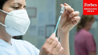 CDC Study Finds No Link Between Covid Vaccines And Premature Births
