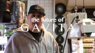 Celebrity New Gavita 750/600 E Ballast Review - EL1 & EL2 Controller Directions Gavita 600w E Fixture  DE Wealth