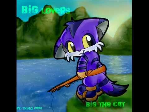 Кот биг