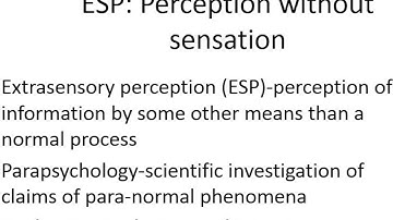 Sensation and Perception Part 3