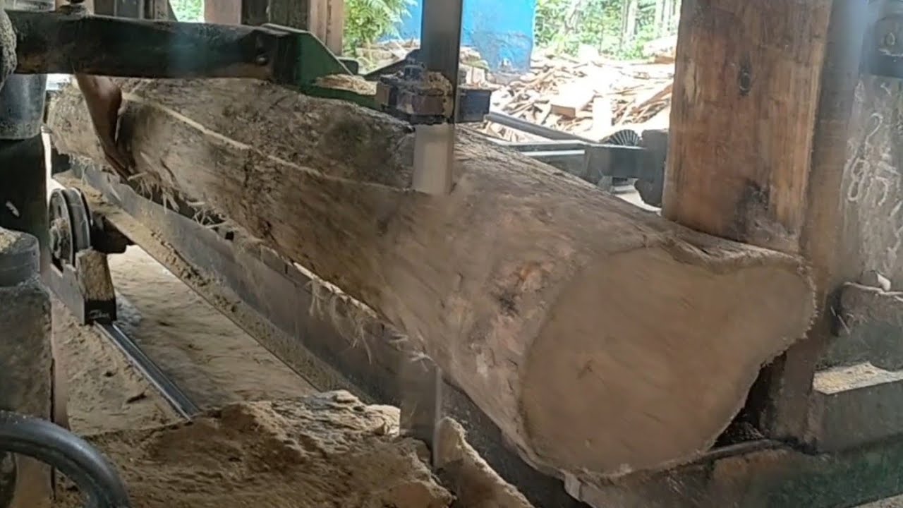 the process of sawing teak wood on thick wooden planks with beautiful ...
