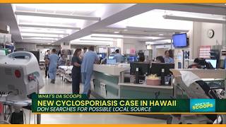 Sixth Cyclospora Case Under Investigation in Hawaiʻi