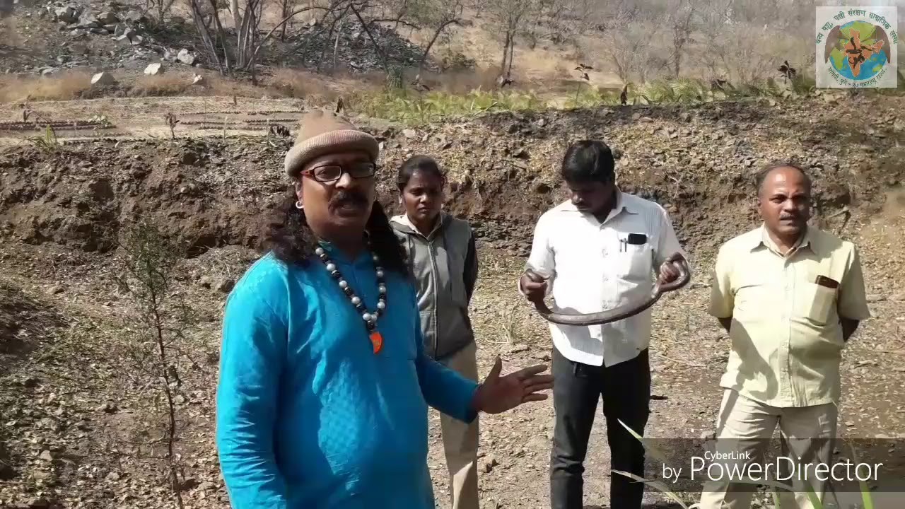 camera iphone 8 plus apk Earth boa / मांडूळ सर्प यह साप बिनाजहर वाला होता हैं...इस साप के बारेमे बहोत गलत फॅमी समाज फैली हैं