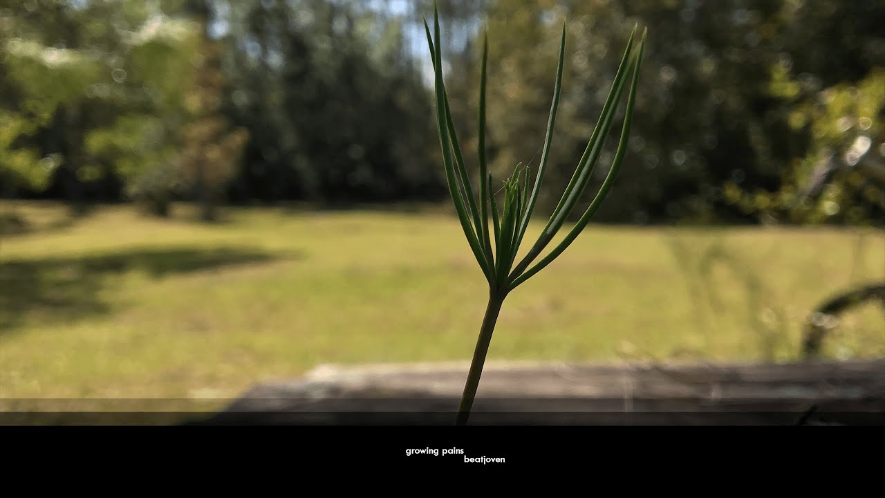 BeatJoven - Growing Pains