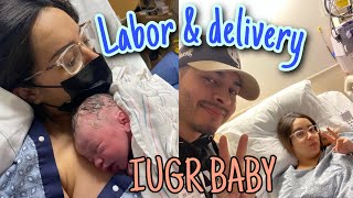 Labor & Delivery Vlog | INDUCTION  | RAW | IUGR BABY |