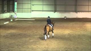 Cheryl Weaver's  Music to Dressage Tracy and Gosh