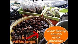 jual keong sawah omset sehari 1,5 kwuintal.