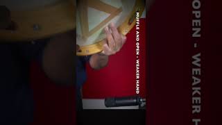 How To Play Pandeiro Samba A Beginners Guide