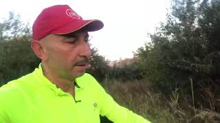 Скандинавская ходьба Кривой Рог утренние Тренировки Скандинавская ходьба Кривой Рог утренние Тренировки