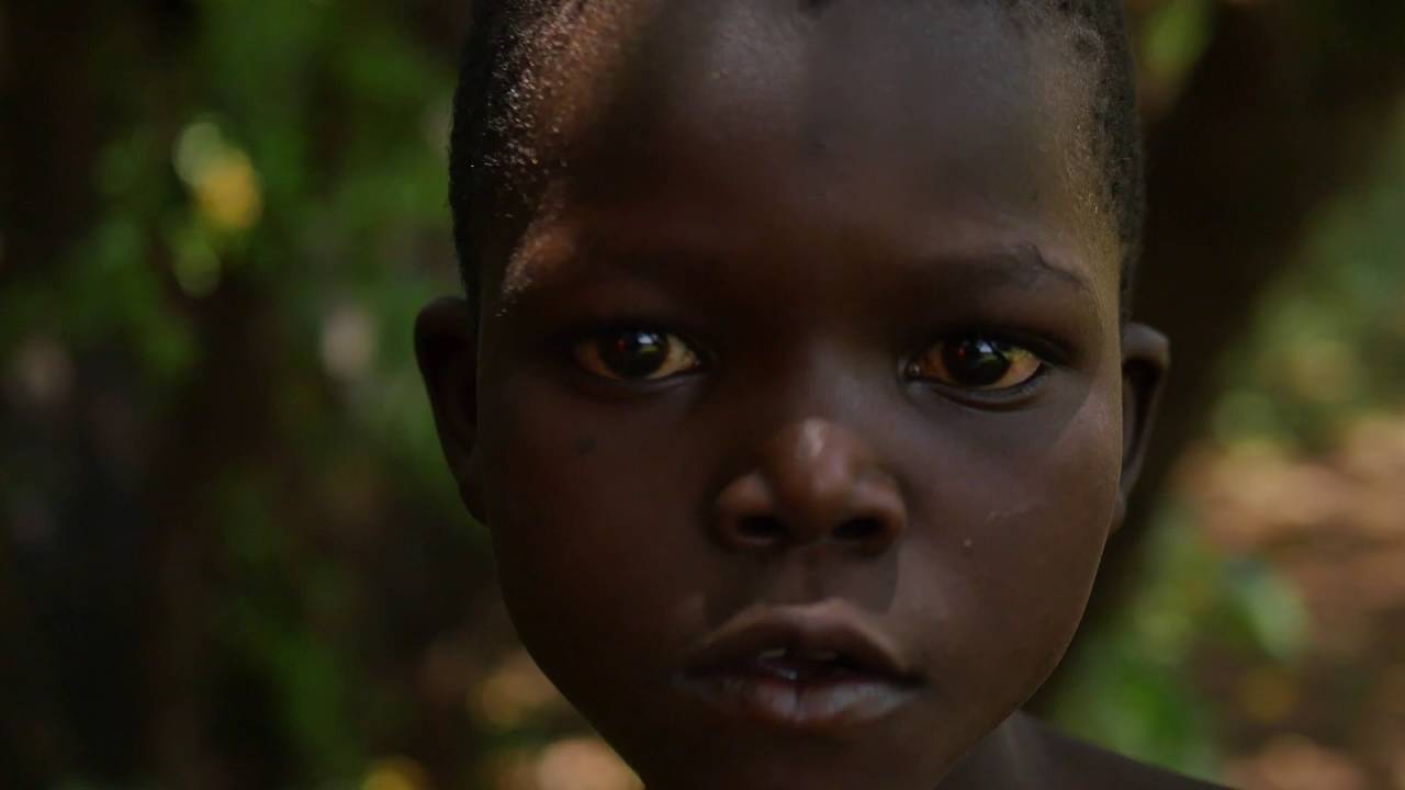 AN ORPHAN'S STORY - Frederic