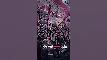 يوم أربعين حسين من واجبات الدين ملا حسين الشويلي ستوريات حسينيه زيارة الأربعين لايك Youtubeshorts 