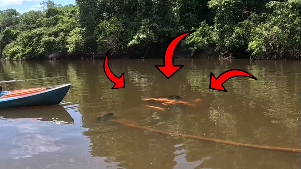 EU SEMPRE FALEI QUE NUNCA FARIA ISSO, AI VOU LÁ E FAÇO - Pescaria em Roraima