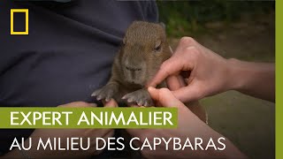 Les capybaras | UNE SAISON AU ZOO