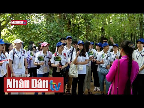 Video Thanh niên kiều bào về với quê hương đất nước | Tin... - youtube