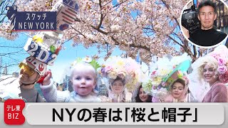 日本の桜がＮＹに春を告げる【スケッチ New York】（2023年4月17日）