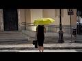 Shark e Groove - Ted Mosby feat Renato Novara, Emanuela Pacotto & Gianluca Iacono