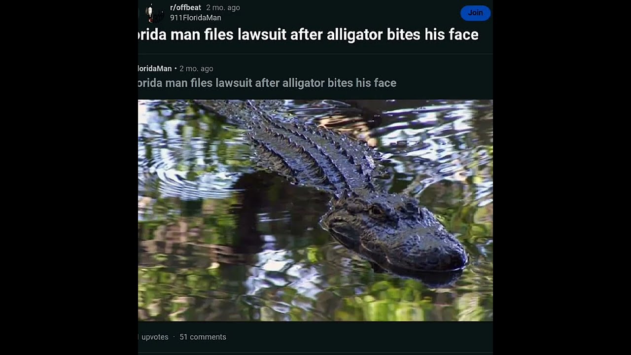 Florida Man Sues Alligator