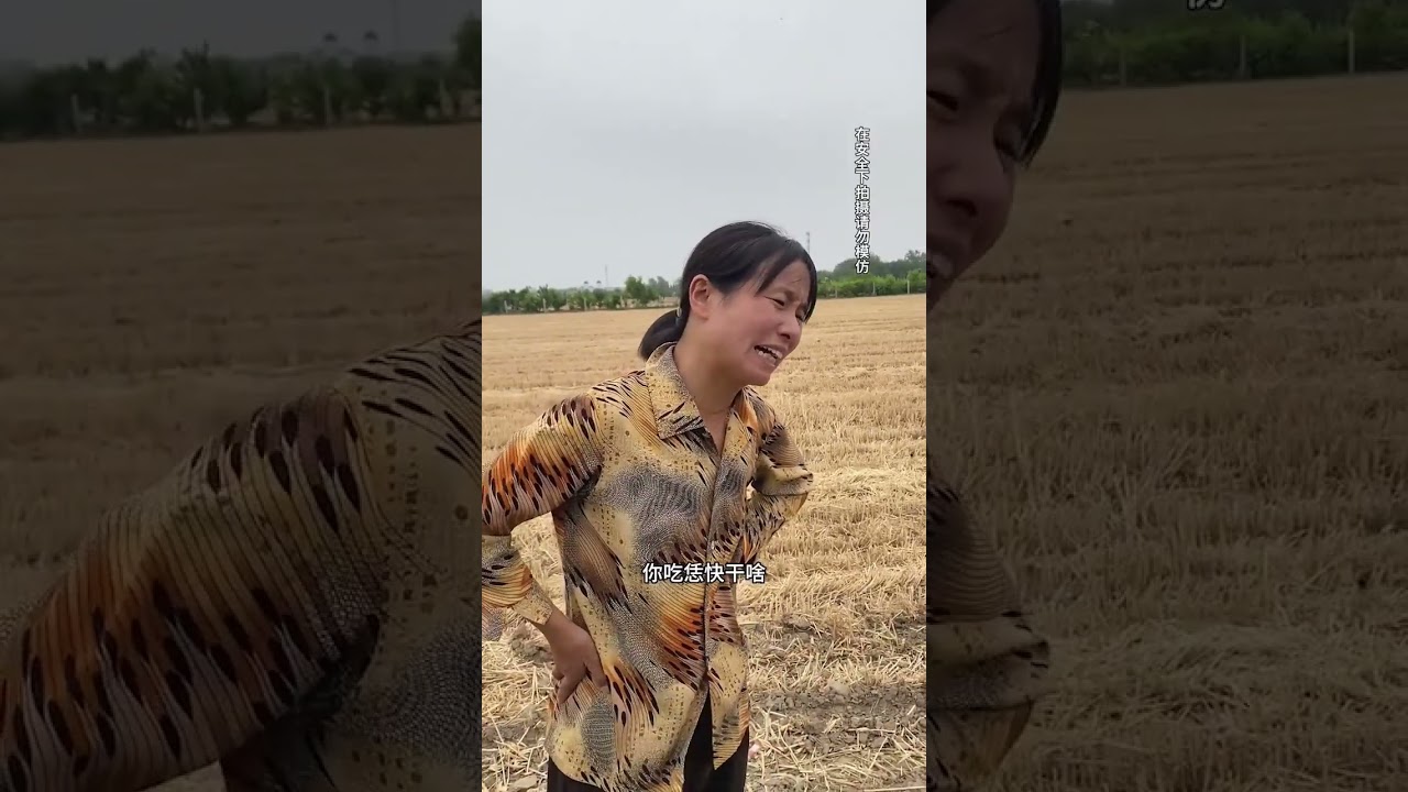 Relive the 1980s: Real-Life Rural Tales Unveiled