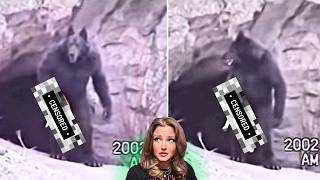 5 REAL Dogman Encounters That Will DISTURB You 2026