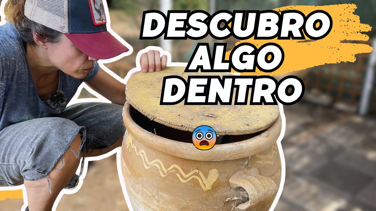 Compras, decoración y una tinaja que esconde algo. Nos regalan un frutal! 🌱 Vlog253