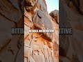 The Hidden Sculptures of Côa Valley