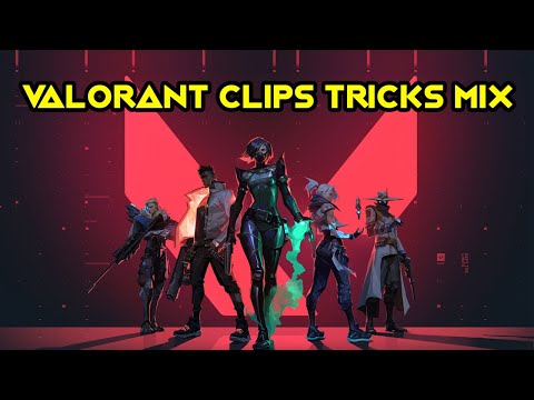 Valorant BEST PLAYS and FUNNY MOMENTS #8