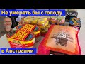 Пожары, наводнения, эпидемии. Готовимся к катастрофам в Австралии. (видео 277)